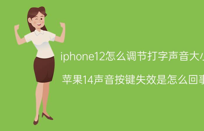 iphone12怎么调节打字声音大小 苹果14声音按键失效是怎么回事？